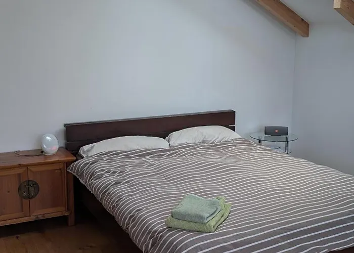 Willa New - Wooden House